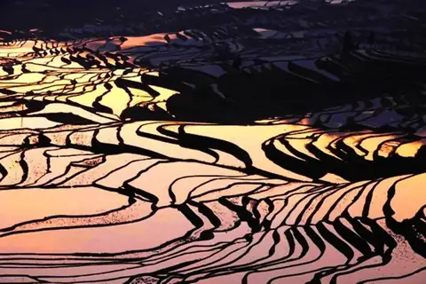 元阳哈尼梯田